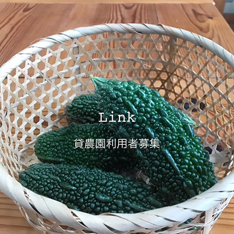 Link 貸農園利用者募集